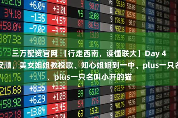 三万配资官网 【行走西南，读懂联大】Day 4：从黄平到安顺，美女姐姐教校歌、知心姐姐到一中、plus一只名叫小开的猫