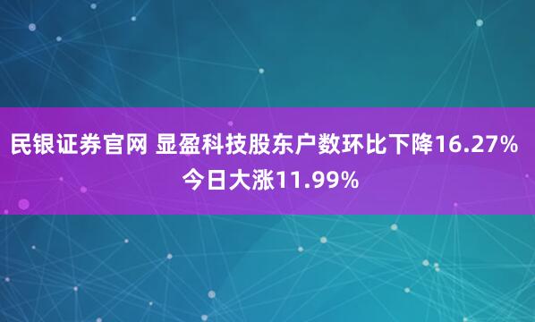 民银证券官网 显盈科技股东户数环比下降16.27%  今日大涨11.99%