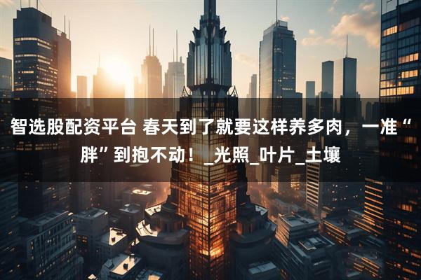 智选股配资平台 春天到了就要这样养多肉，一准“胖”到抱不动！_光照_叶片_土壤