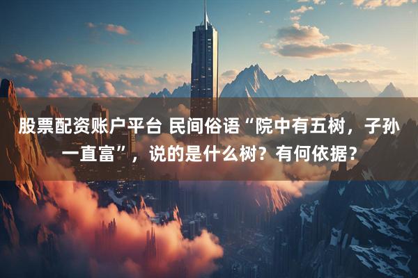 股票配资账户平台 民间俗语“院中有五树，子孙一直富”，说的是什么树？有何依据？