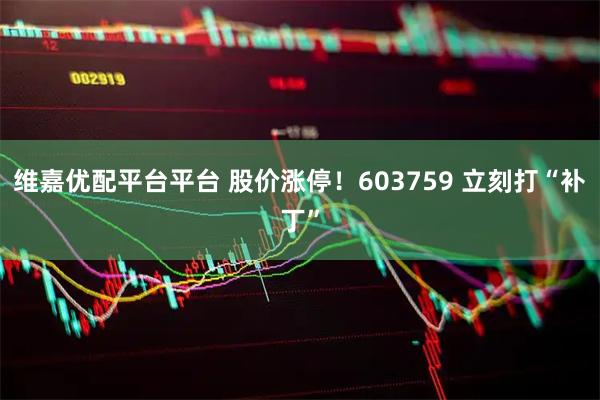 维嘉优配平台平台 股价涨停！603759 立刻打“补丁”